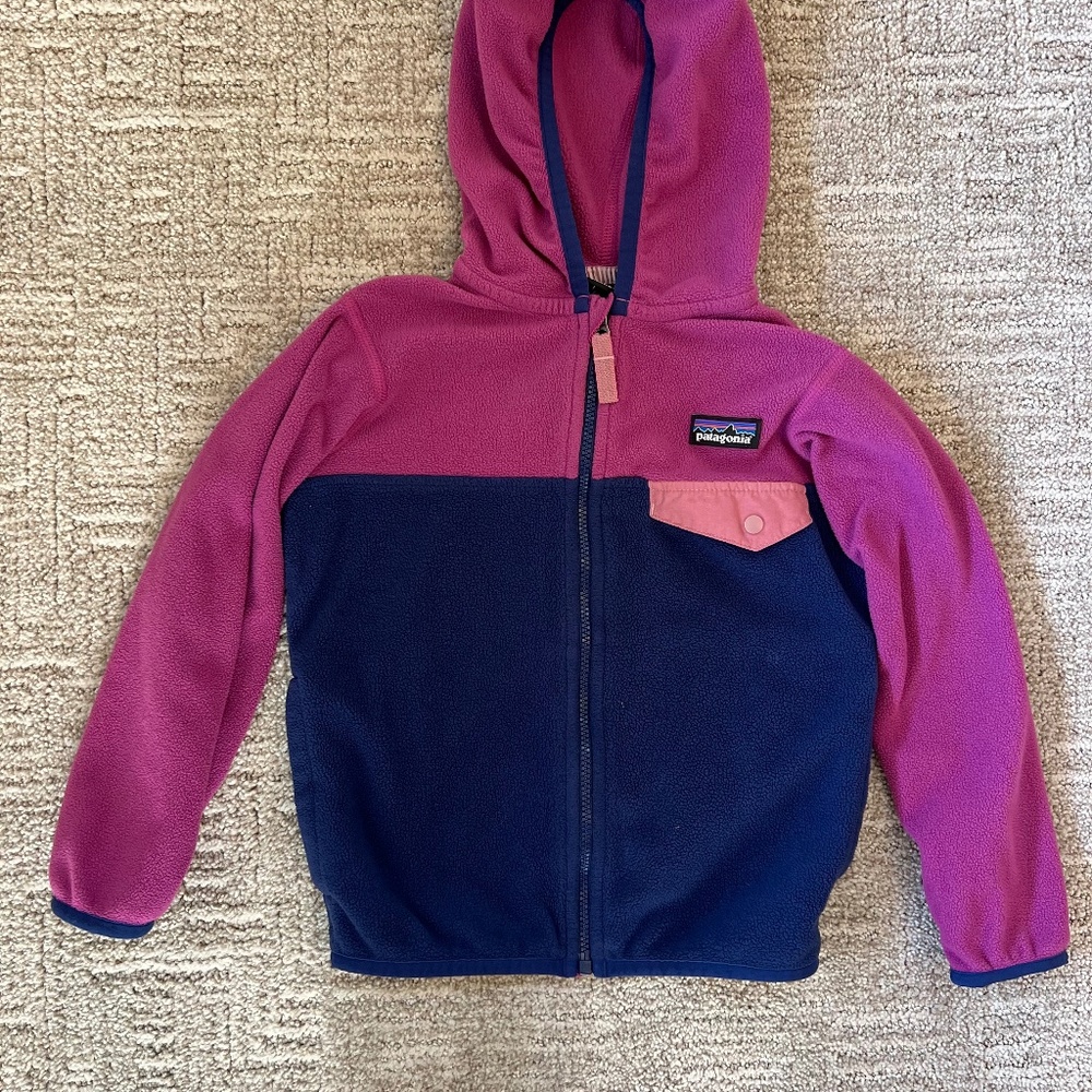 Patagonia micro D snap-t fleece jacket